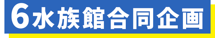 6水族館合同企画